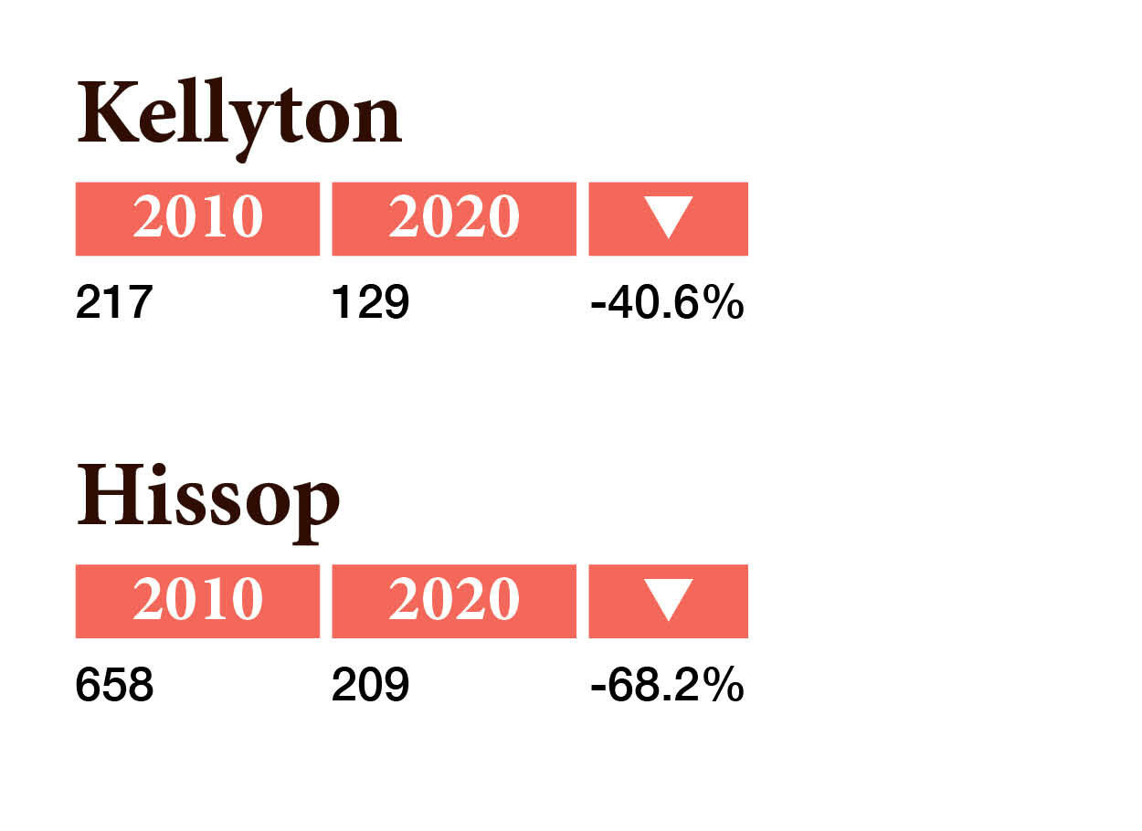 2020 Census
